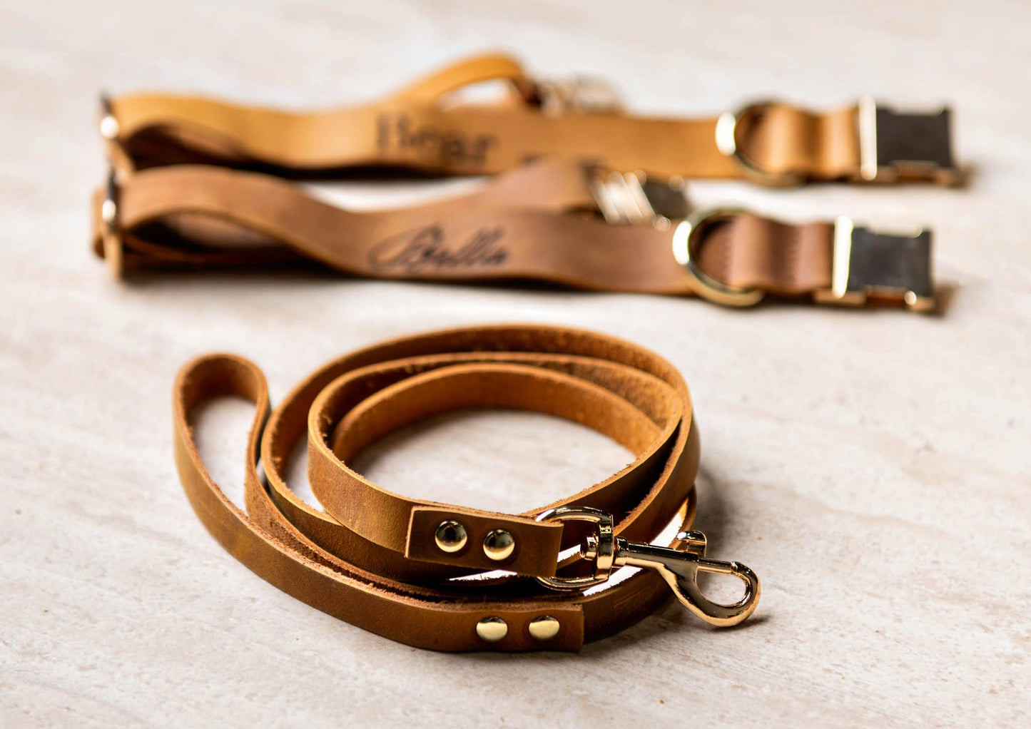Distressed Leather Dog Collar & Leash